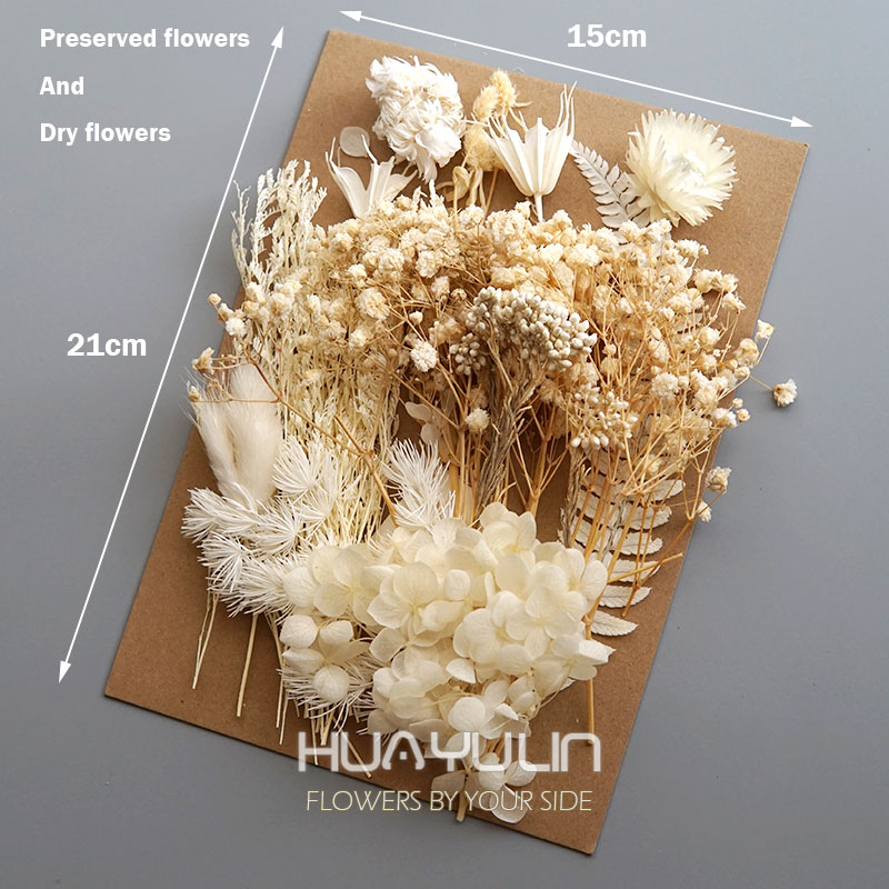 1 Pack Artificial Plants Dried - огляд і ціна Candle Making Activity